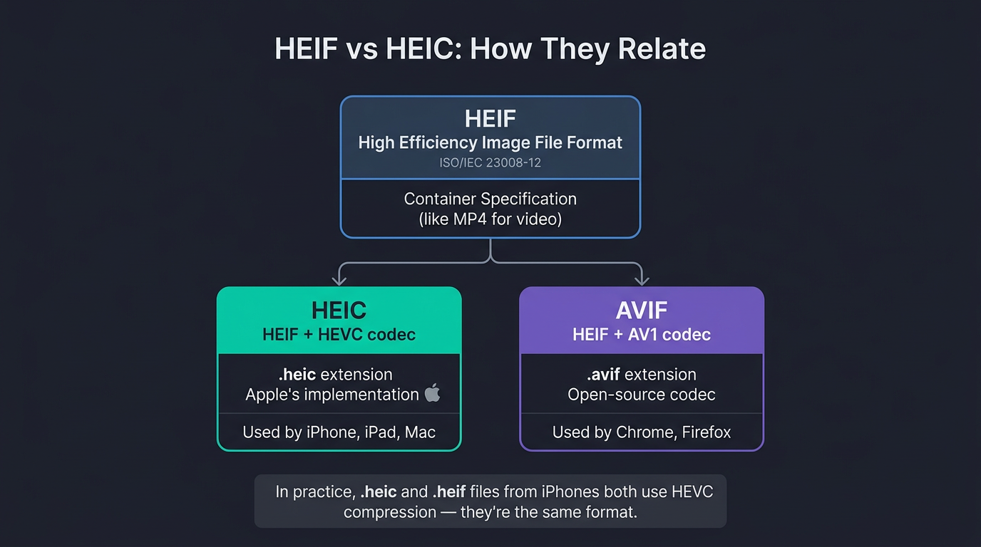 HEIF vs HEIC: How They Relate